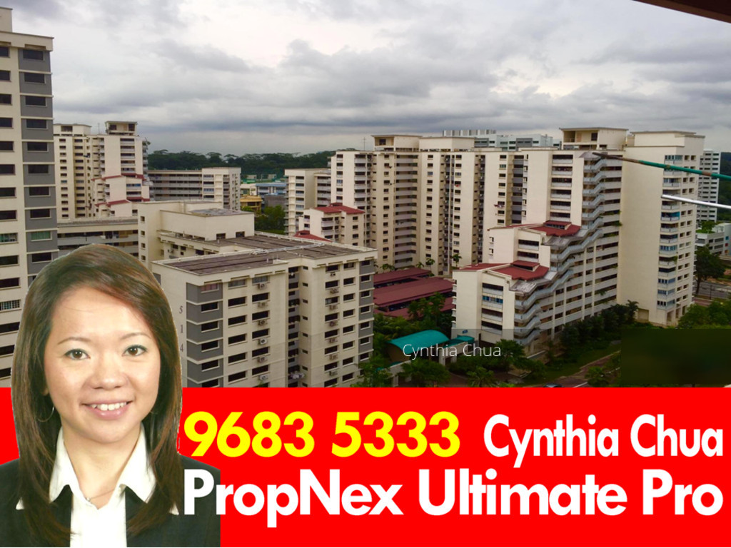 Blk 506 Jelapang Road (Bukit Panjang), HDB 5 Rooms #125819052